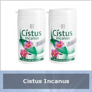 LR Cistus Incanus als Heilpflanze mit vielen Qualitäten